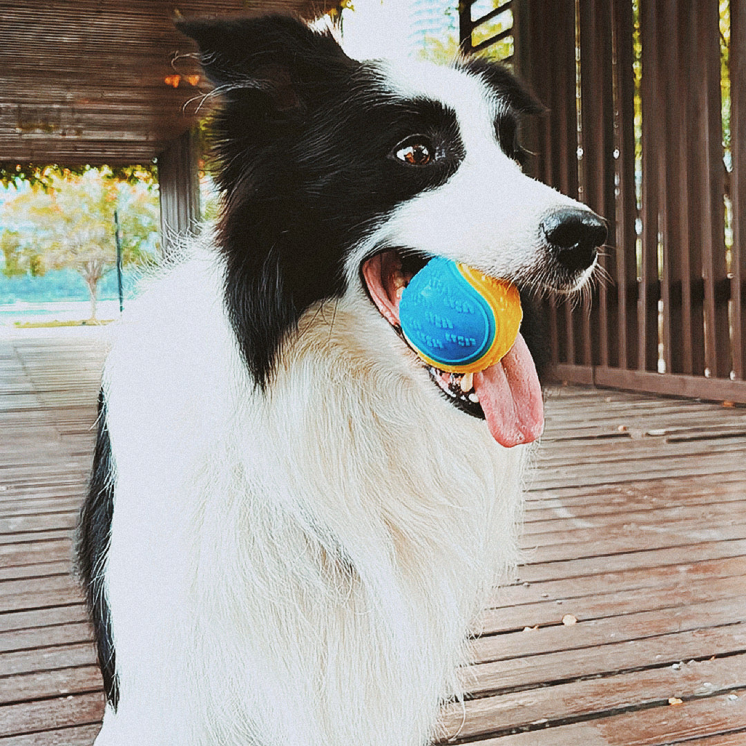 SqueakBall