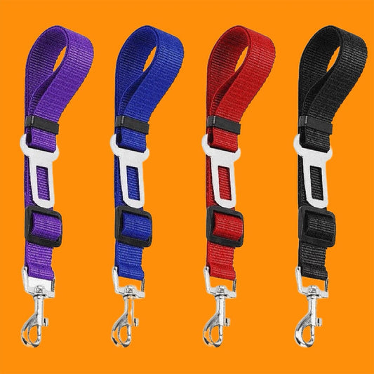 Ceinture de Sécurité voyage